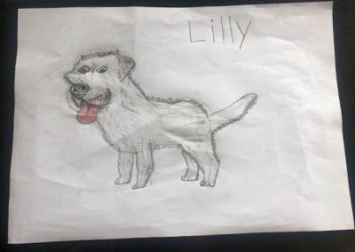 Lilly -Art competition entry