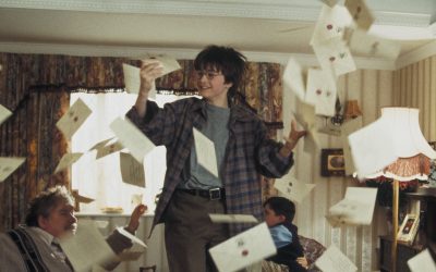 Harry Potter At Home