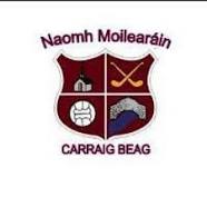 Best of luck St. Molleran’s Minor & Junior Players in the County Finals
