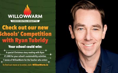 Ryan Tubridy- Willow Warm competition